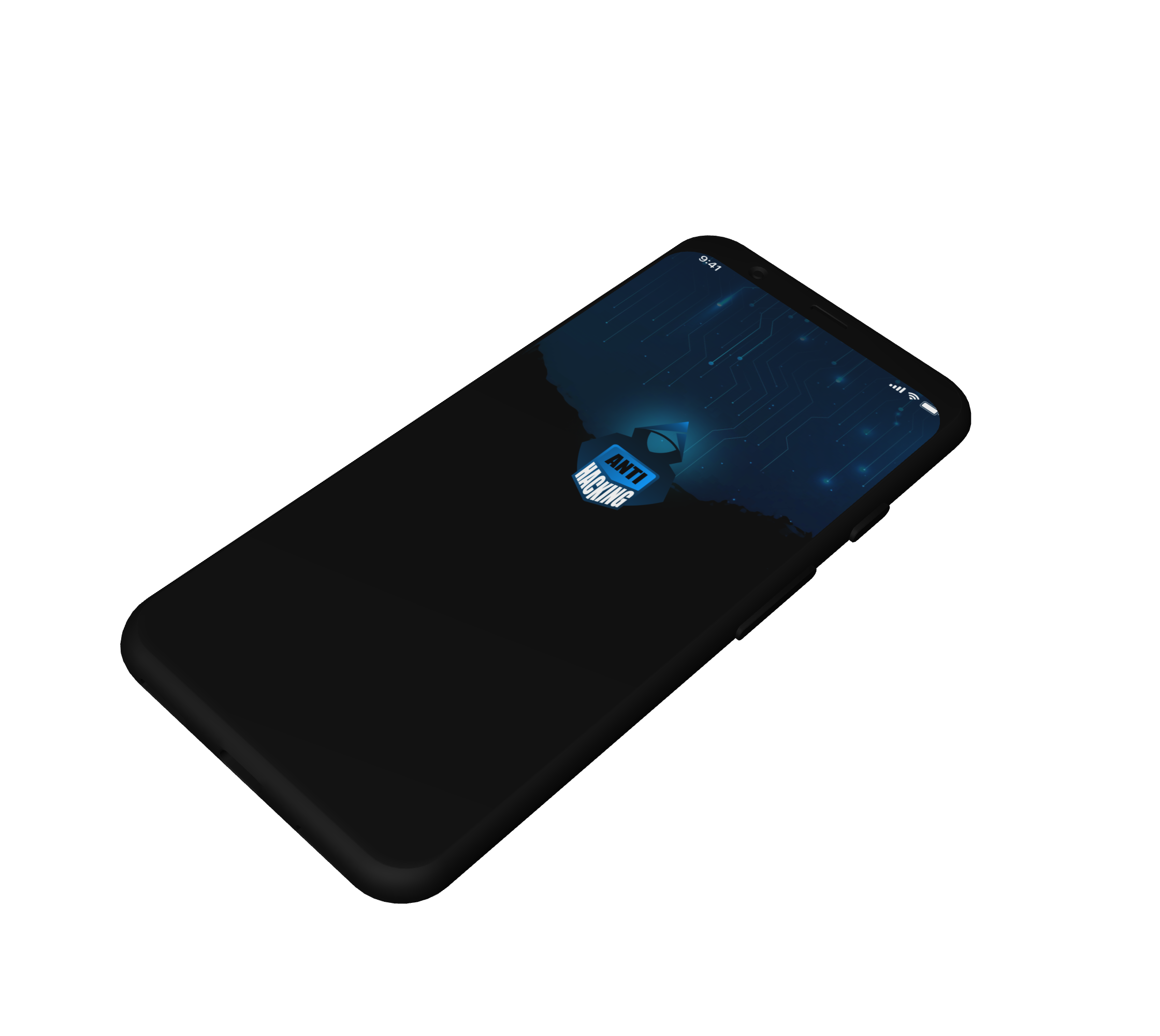 AntiHacking Intro